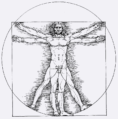 Chiropractic Ventura CA Vitruvian Man